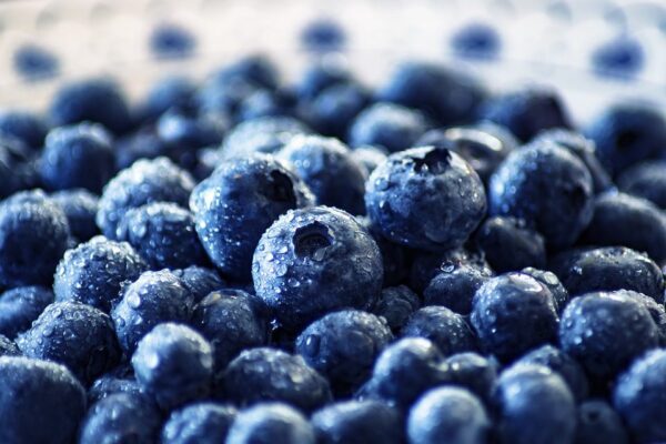 Blueberry Health Benefits